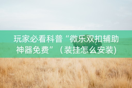 玩家必看科普“微乐双扣辅助神器免费”（装挂怎么安装)
