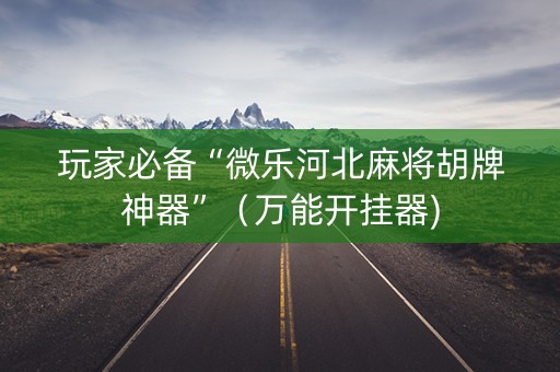 玩家必备“微乐河北麻将胡牌神器”（万能开挂器)