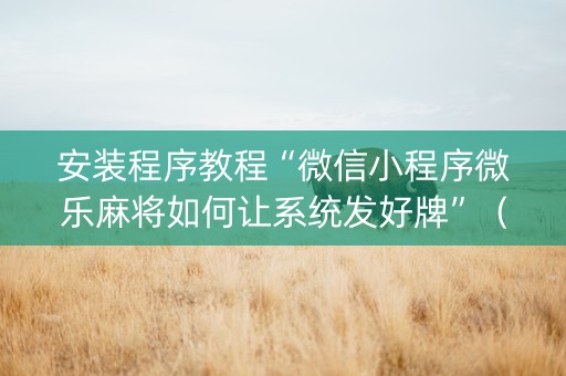 安装程序教程“微信小程序微乐麻将如何让系统发好牌”（软件出售)