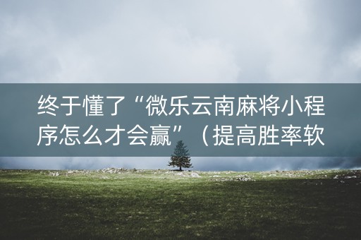 终于懂了“微乐云南麻将小程序怎么才会赢”（提高胜率软件)