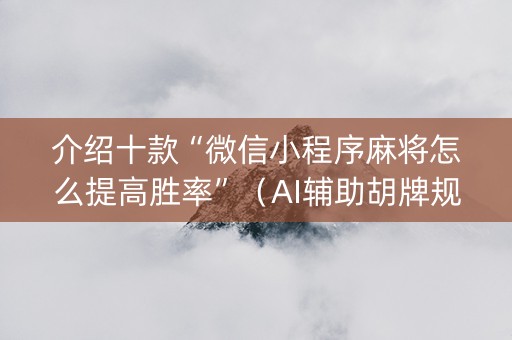 介绍十款“微信小程序麻将怎么提高胜率”（AI辅助胡牌规则)