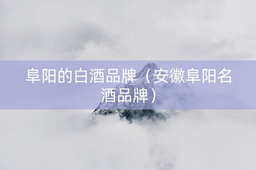 阜阳的白酒品牌（安徽阜阳名酒品牌）