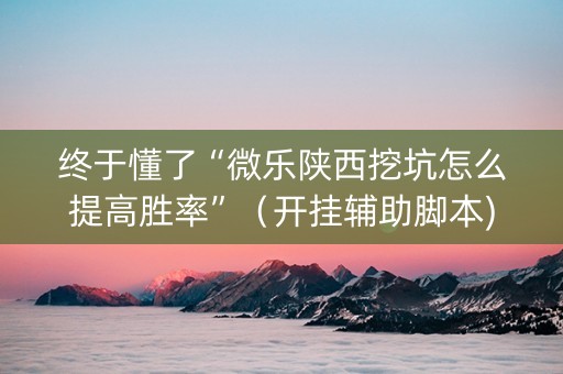 终于懂了“微乐陕西挖坑怎么提高胜率”（开挂辅助脚本)