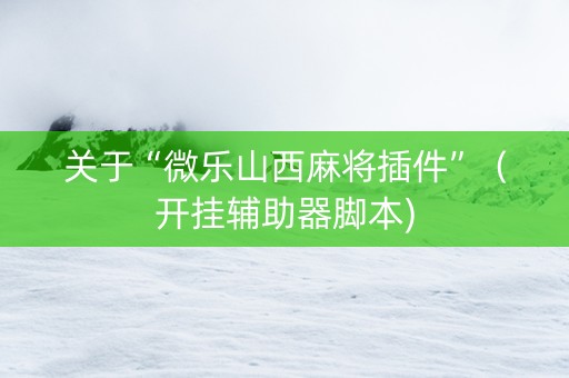 关于“微乐山西麻将插件”（开挂辅助器脚本)