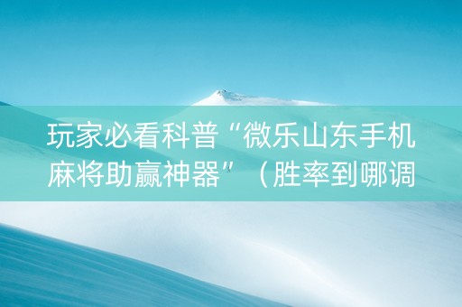 玩家必看科普“微乐山东手机麻将助赢神器”（胜率到哪调)