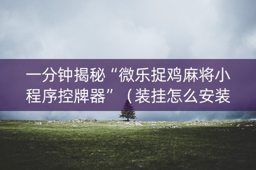 一分钟揭秘“微乐捉鸡麻将小程序控牌器”（装挂怎么安装)