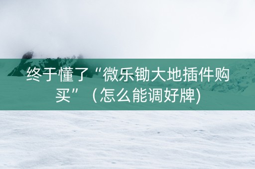 终于懂了“微乐锄大地插件购买”（怎么能调好牌)