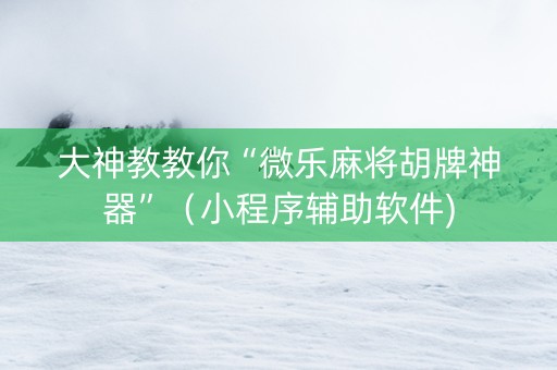 大神教教你“微乐麻将胡牌神器”（小程序辅助软件)