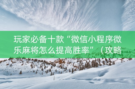 玩家必备十款“微信小程序微乐麻将怎么提高胜率”（攻略插件)