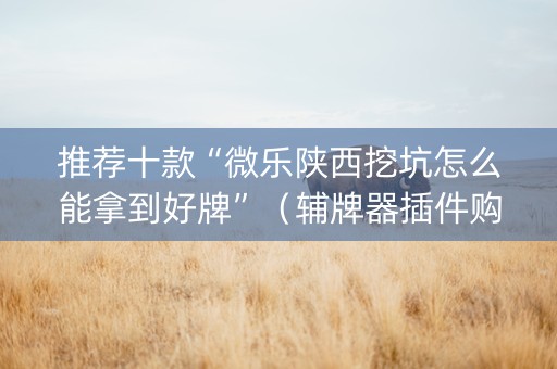 推荐十款“微乐陕西挖坑怎么能拿到好牌”（辅牌器插件购买)