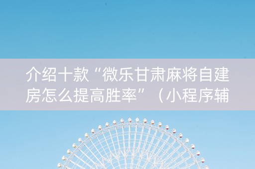 介绍十款“微乐甘肃麻将自建房怎么提高胜率”（小程序辅助软件)