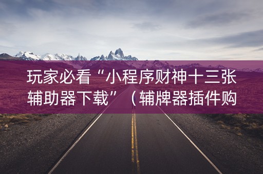 玩家必看“小程序财神十三张辅助器下载”（辅牌器插件购买)