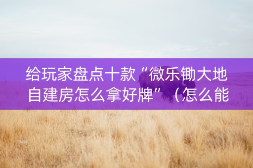 给玩家盘点十款“微乐锄大地自建房怎么拿好牌”（怎么能让牌好一点)