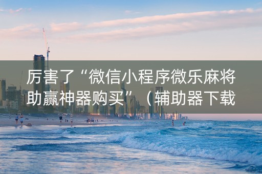 厉害了“微信小程序微乐麻将助赢神器购买”（辅助器下载)