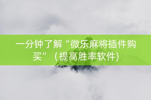 一分钟了解“微乐麻将插件购买”（提高胜率软件)