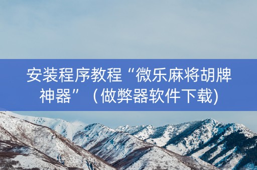 安装程序教程“微乐麻将胡牌神器”（做弊器软件下载)