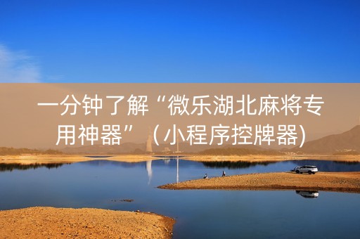 一分钟了解“微乐湖北麻将专用神器”（小程序控牌器)