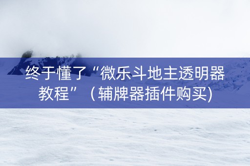 终于懂了“微乐斗地主透明器教程”（辅牌器插件购买)