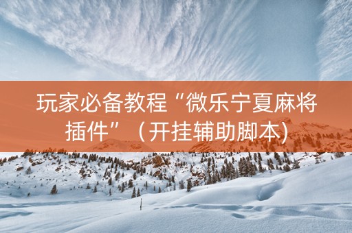 玩家必备教程“微乐宁夏麻将插件”（开挂辅助脚本)