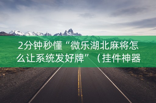 2分钟秒懂“微乐湖北麻将怎么让系统发好牌”（挂件神器)