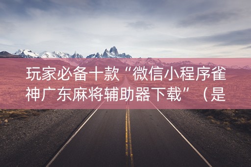 玩家必备十款“微信小程序雀神广东麻将辅助器下载”（是否能开挂)
