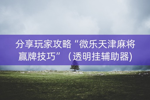 分享玩家攻略“微乐天津麻将赢牌技巧”（透明挂辅助器)
