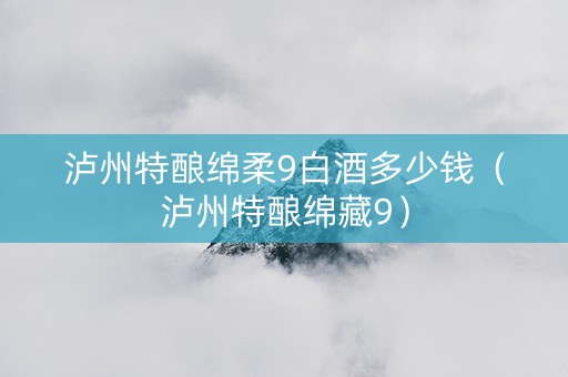 泸州特酿绵柔9白酒多少钱（泸州特酿绵藏9）