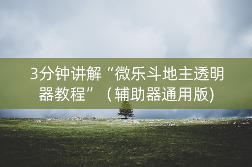 3分钟讲解“微乐斗地主透明器教程”（辅助器通用版)