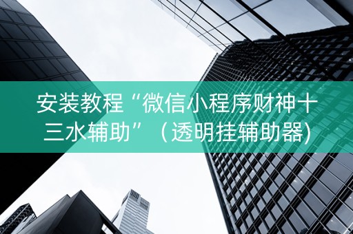 安装教程“微信小程序财神十三水辅助”（透明挂辅助器)