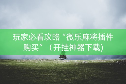 玩家必看攻略“微乐麻将插件购买”（开挂神器下载)