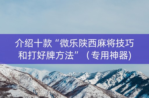 介绍十款“微乐陕西麻将技巧和打好牌方法”（专用神器)