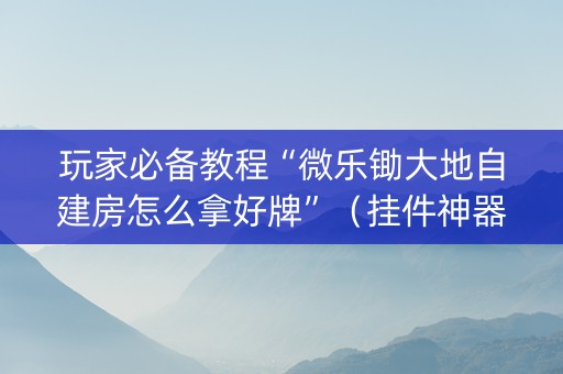 玩家必备教程“微乐锄大地自建房怎么拿好牌”（挂件神器)