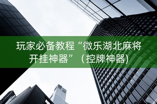 玩家必备教程“微乐湖北麻将开挂神器”（控牌神器)