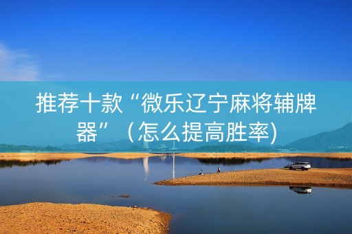 推荐十款“微乐辽宁麻将辅牌器”（怎么提高胜率)