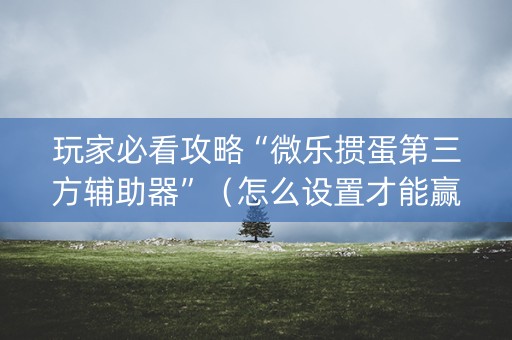 玩家必看攻略“微乐掼蛋第三方辅助器”（怎么设置才能赢)