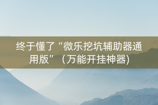 终于懂了“微乐挖坑辅助器通用版”（万能开挂神器)