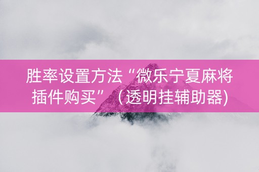 胜率设置方法“微乐宁夏麻将插件购买”（透明挂辅助器)