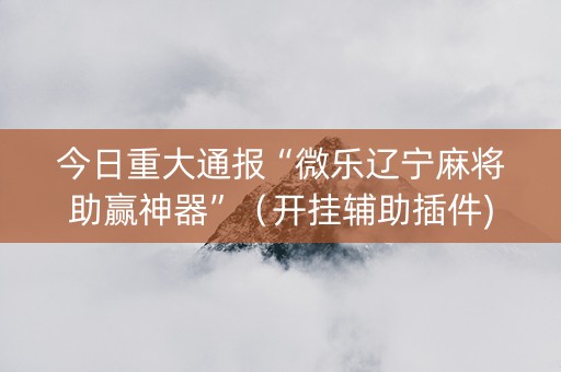 今日重大通报“微乐辽宁麻将助赢神器”（开挂辅助插件)
