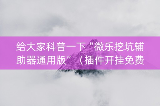 给大家科普一下“微乐挖坑辅助器通用版”（插件开挂免费AI)
