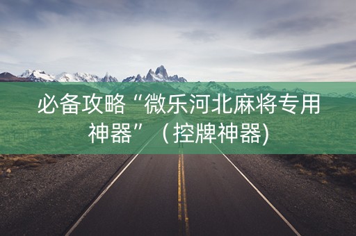 必备攻略“微乐河北麻将专用神器”（控牌神器)