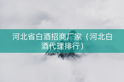 河北省白酒招商厂家（河北白酒代理排行）