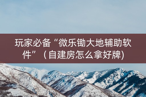 玩家必备“微乐锄大地辅助软件”（自建房怎么拿好牌)