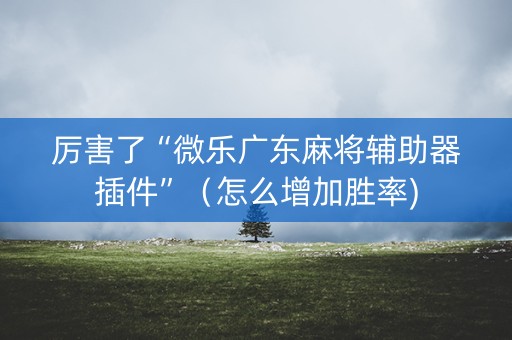 厉害了“微乐广东麻将辅助器插件”（怎么增加胜率)