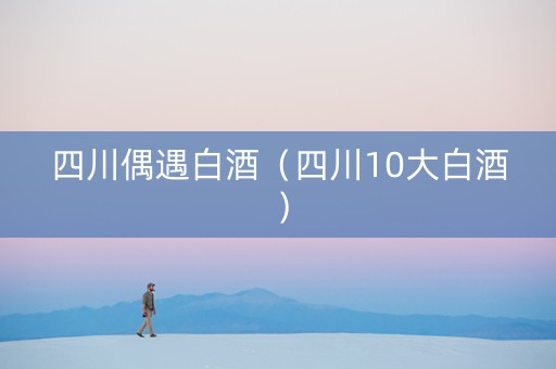 四川偶遇白酒（四川10大白酒）