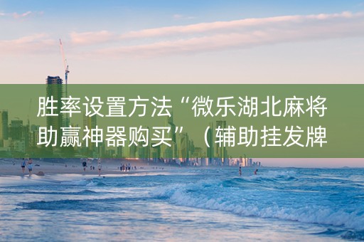 胜率设置方法“微乐湖北麻将助赢神器购买”（辅助挂发牌规律)
