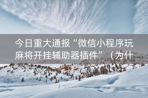 今日重大通报“微信小程序玩麻将开挂辅助器插件”（为什么有人一直赢)