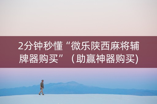 2分钟秒懂“微乐陕西麻将辅牌器购买”（助赢神器购买)