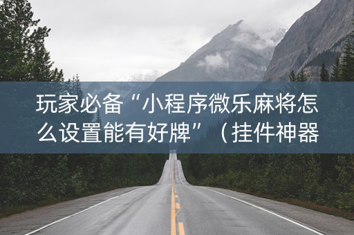 玩家必备“小程序微乐麻将怎么设置能有好牌”（挂件神器)