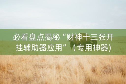 必看盘点揭秘“财神十三张开挂辅助器应用”（专用神器)