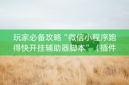 玩家必备攻略“微信小程序跑得快开挂辅助器脚本”（插件可信吗)